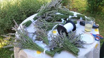 Ljudi koji su imali znanja o biljkama bili su uvaženi