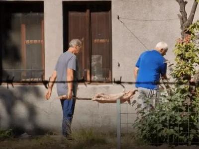 Pekao prase u Botaničkom vrtu Zemaljskog muzeja, stigla mu novčana kazna