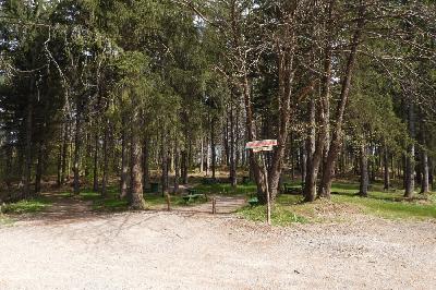 Prenamjena šumskog zemljišta u USK među najnižim u FBiH